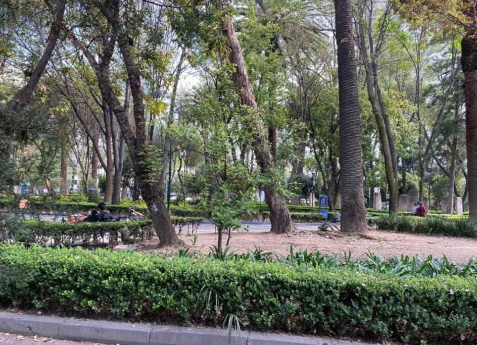 Apartment Park Narvarte *