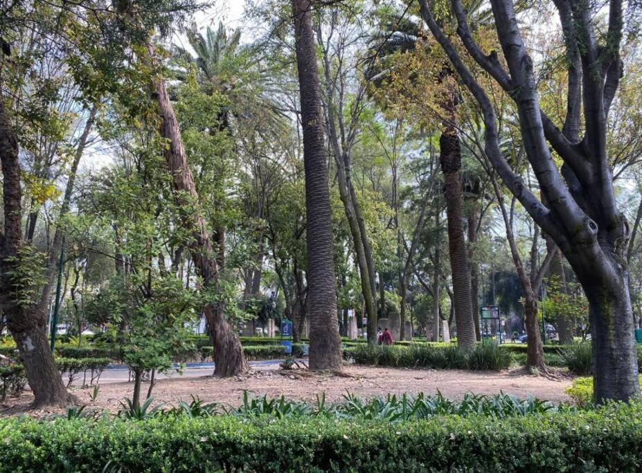 Park Narvarte Mexico City